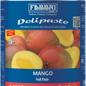 9225722 DELIPASTE FABBRI MANGO