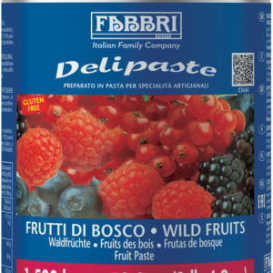 9225736 DELIPASTE FABBRI FRUTTI DI BOSCO CA
