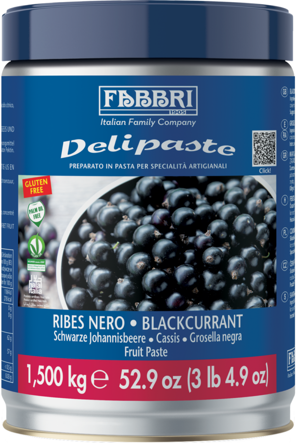 9225746 DELIPASTE FABBRI RIBES NERO